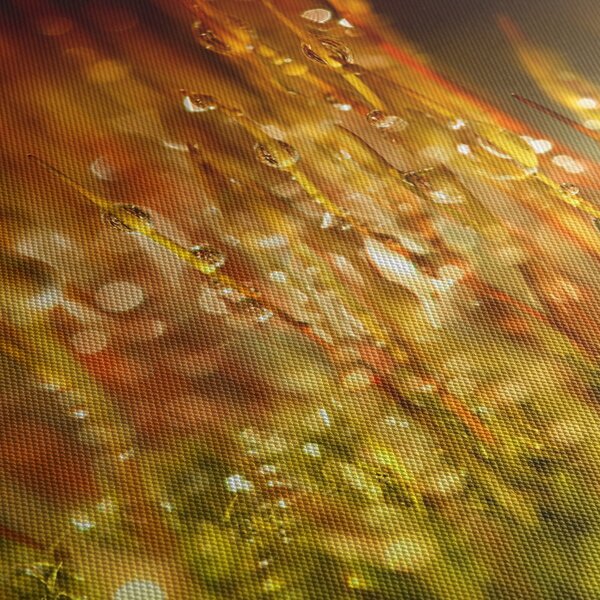 Obraz - Detail rosy (90x60 cm)