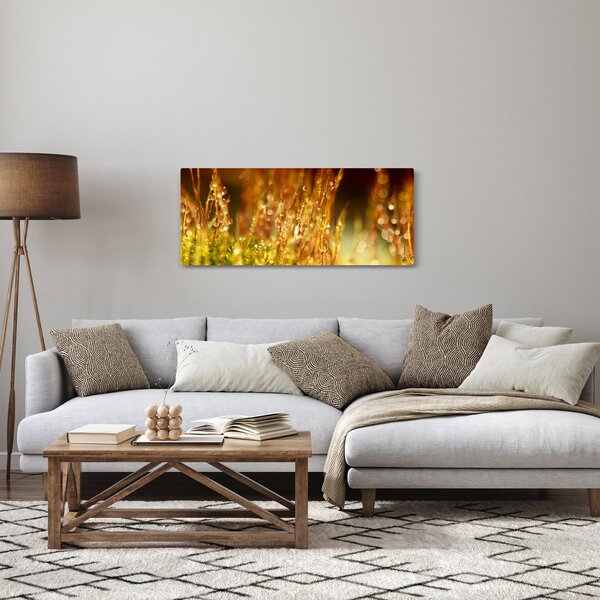 Obraz - Detail rosy (120x50 cm)
