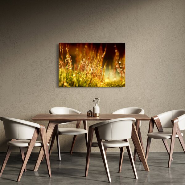 Obraz - Detail rosy (90x60 cm)