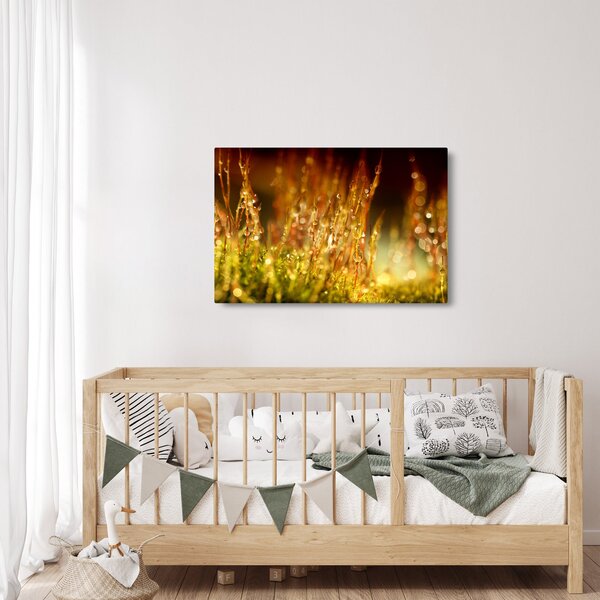 Obraz - Detail rosy (90x60 cm)
