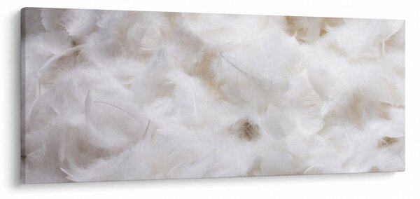 Obraz - Biele perie (120x50 cm)