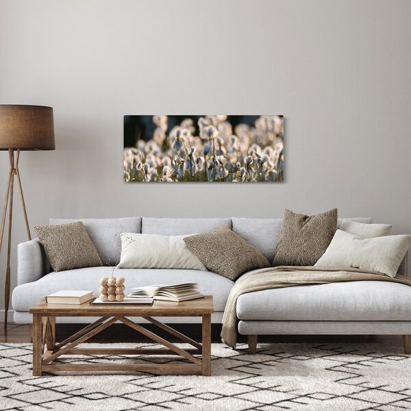 Obraz - Biely páperník (120x50 cm)