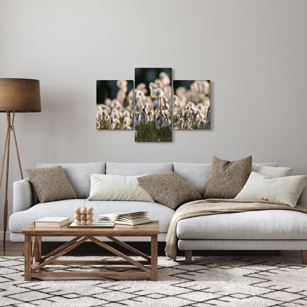 Obraz - Biely páperník (90x60 cm)