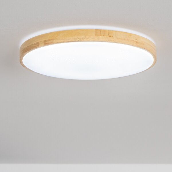 Brilagi - stmievateľné LED stropné svietidlo PINE LED/24W/230V + diaľkové ovládanie