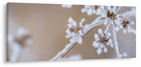 Obraz - Mráz (120x50 cm)