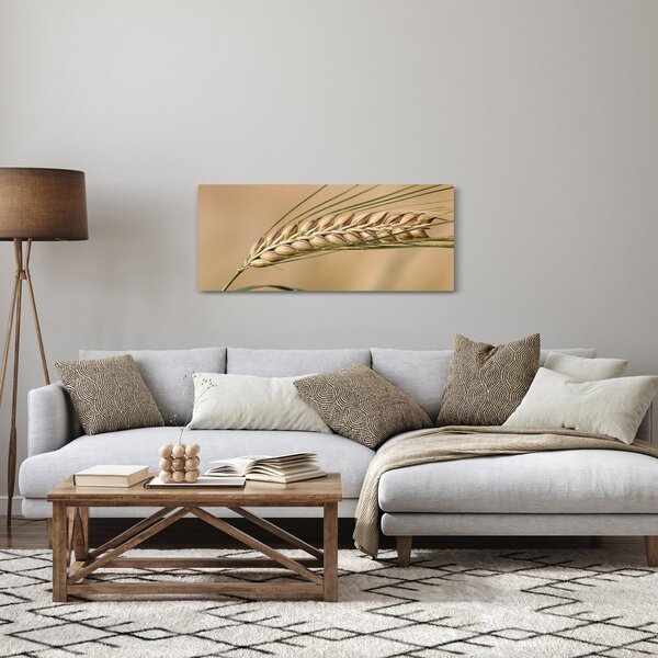 Obraz - Pšenica (120x50 cm)