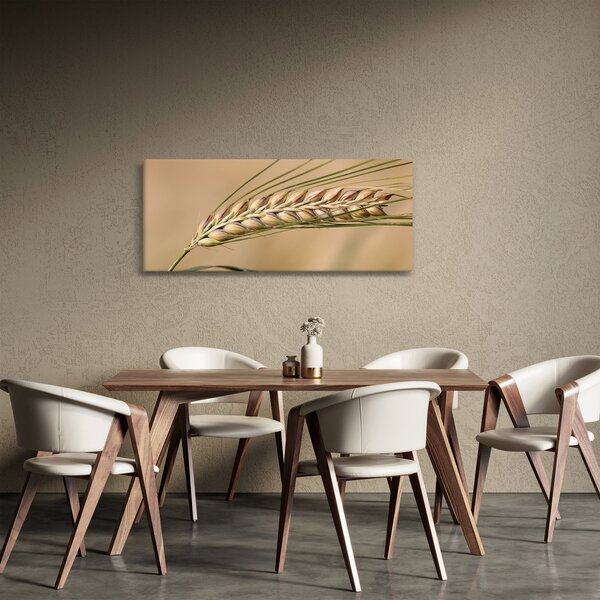 Obraz - Pšenica (120x50 cm)