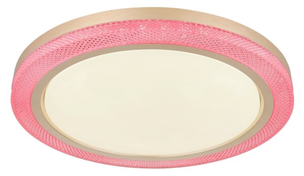 Globo 41372-24 - LED RGBW Stmievateľné stropné svietidlo BOLLY LED/20W/230V + DO
