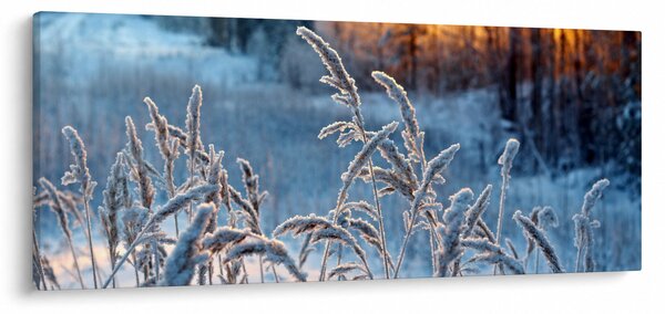 Obraz - Zimná lúka (120x50 cm)