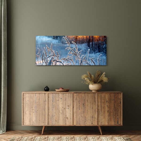 Obraz - Zimná lúka (120x50 cm)