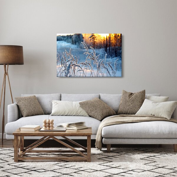 Obraz - Zimná lúka (90x60 cm)
