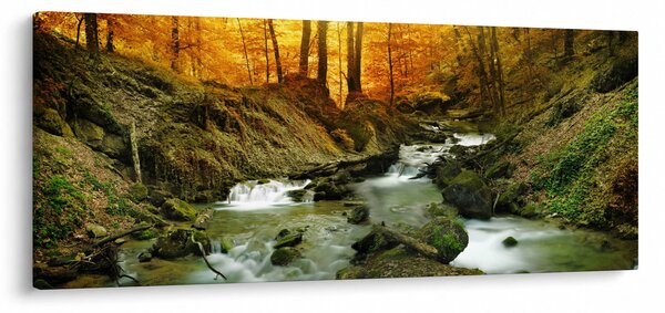 Obraz - Les (120x50 cm)