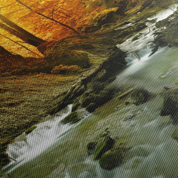 Obraz - Les (150x105 cm)