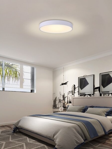 Immax NEO 07206L-LED Stmievateľné stropné svietidlo RONDATE 53W/230V biela Tuya+DO