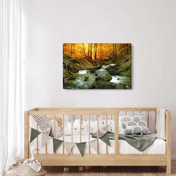 Obraz - Les (90x60 cm)