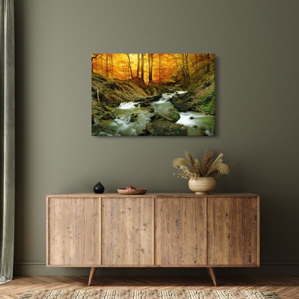 Obraz - Les (90x60 cm)