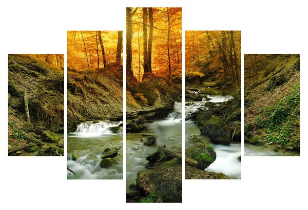 Obraz - Les (150x105 cm)