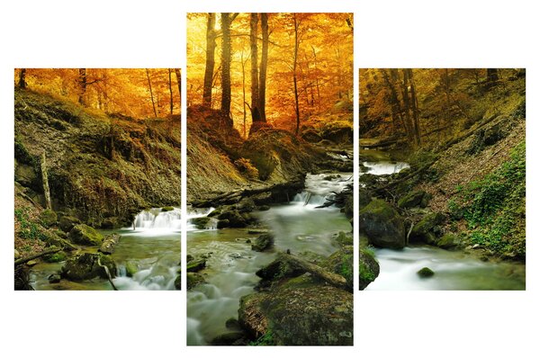 Obraz - Les (90x60 cm)