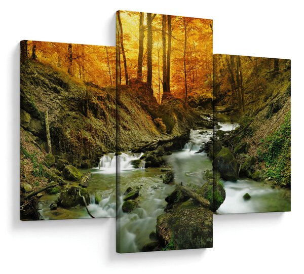 Obraz - Les (90x60 cm)