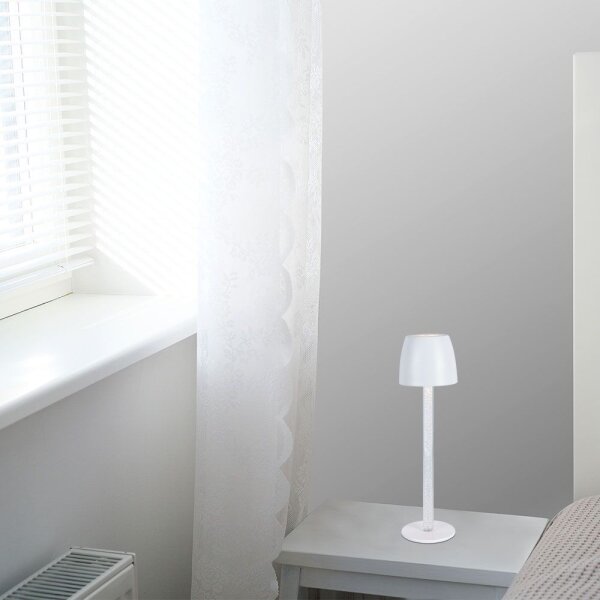LED Stmievateľná nabíjacia stolná lampa LED/3W/5V 3000K biela