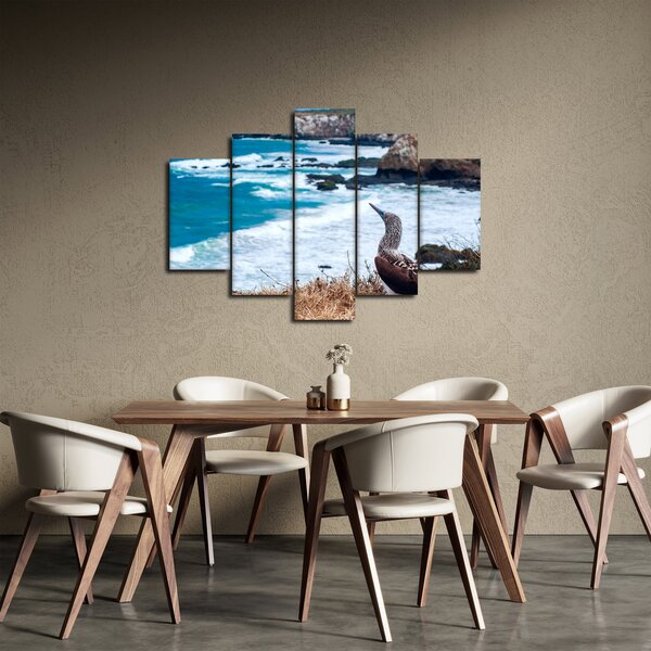 Obraz - Sula modronohá (150x105 cm)