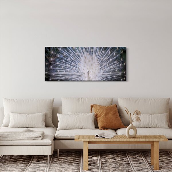 Obraz - Biely páv (120x50 cm)