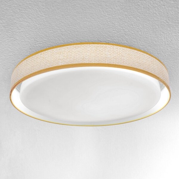 Brilagi - LED Stmievateľné stropné svietidlo KIANIA LED/48W/230V 3000-6500K + DO