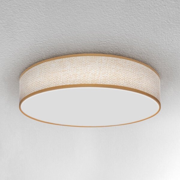 Brilagi - LED Stmievateľné stropné svietidlo CARMEN LED/48W/230V 3000-6500K + DO