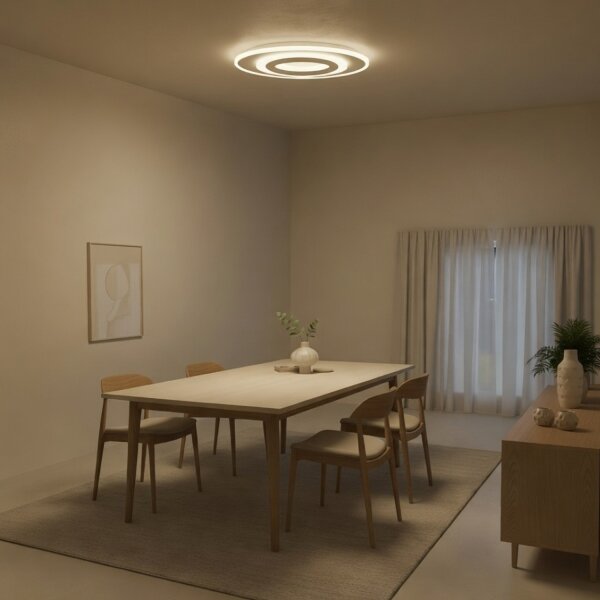 Brilagi - LED stmievateľné stropné svietidlo MODERN LED/45W/230V 3000-6000K + DO