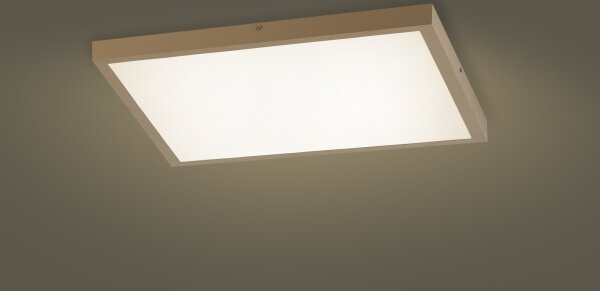 Brilagi - LED stmievateľné kúpeľňové svietidlo FRAME SMART LED/50W/230V 60x60 IP44 + DO