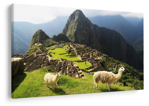Obraz - Lamy v Machu Picchu (90x60 cm)