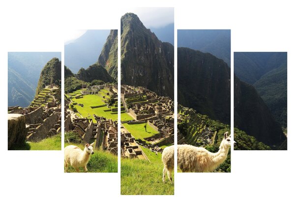 Obraz - Lamy v Machu Picchu (150x105 cm)