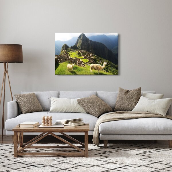 Obraz - Lamy v Machu Picchu (90x60 cm)