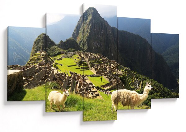 Obraz - Lamy v Machu Picchu (150x105 cm)