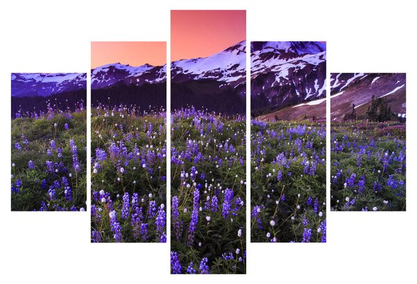 Obraz - Sopka a kvety (150x105 cm)