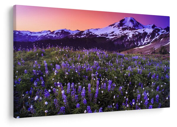 Obraz - Sopka a kvety (90x60 cm)