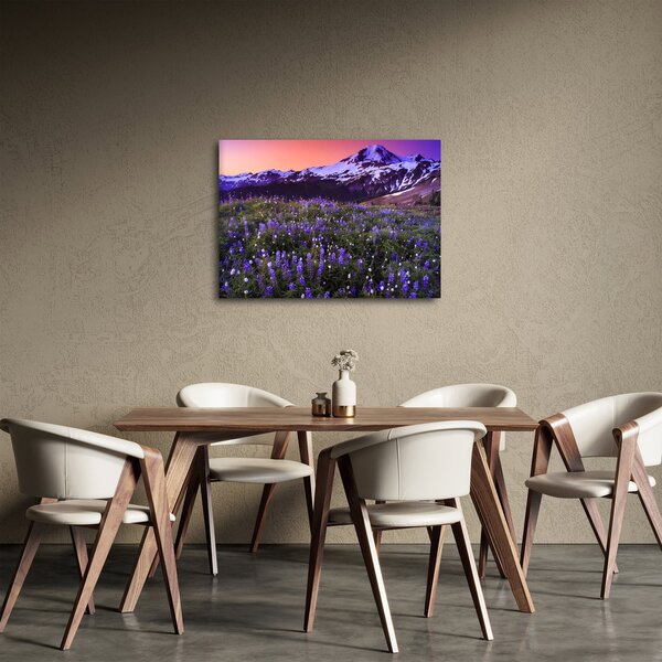 Obraz - Sopka a kvety (70x50 cm)
