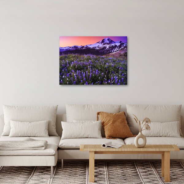 Obraz - Sopka a kvety (70x50 cm)