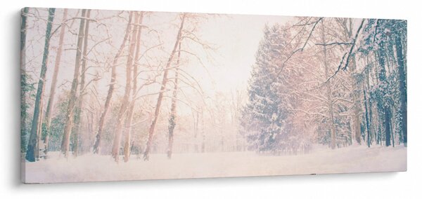 Obraz - Výhľad do lesa (120x50 cm)