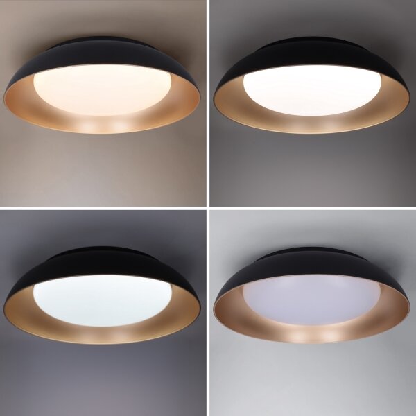 Brilagi-LED Stmievateľné svietidlo ALVA LED/48W/230V 3000-6500K pr. 51 cm čierna+DO