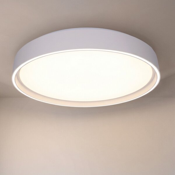 Brilagi-LED Stmievateľné svietidlo NANCI LED/60W/230V 3000-6500K pr. 49 cm biela +DO