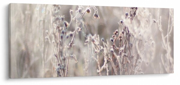 Obraz - Rastlina (120x50 cm)