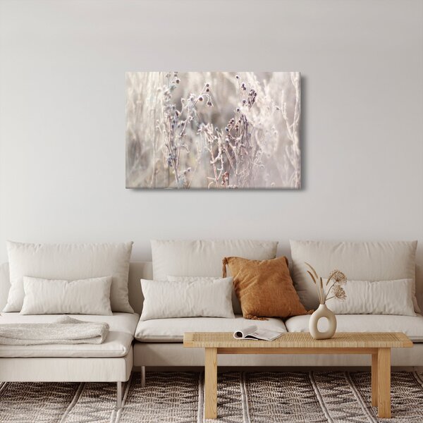 Obraz - Rastlina (90x60 cm)