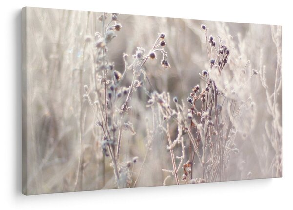 Obraz - Rastlina (90x60 cm)