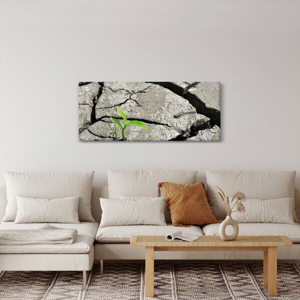 Obraz - Praskliny (120x50 cm)