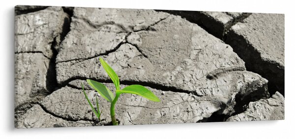 Obraz - Praskliny (120x50 cm)