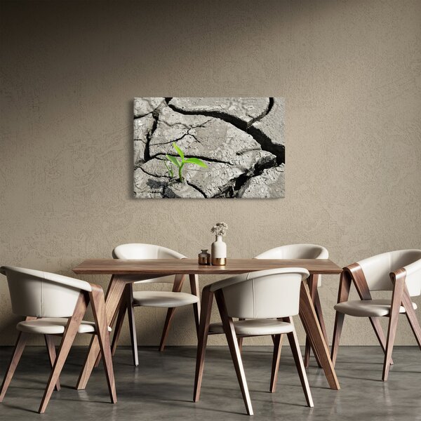 Obraz - Praskliny (90x60 cm)