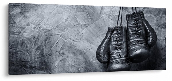 Obraz - Boxerské rukavice (120x50 cm)