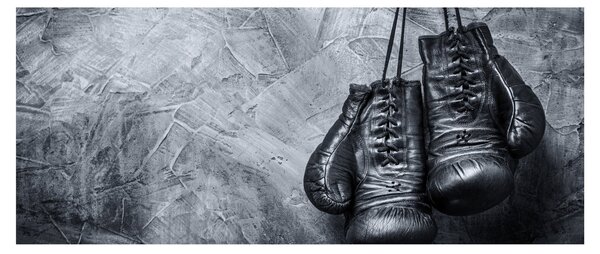 Obraz - Boxerské rukavice (120x50 cm)