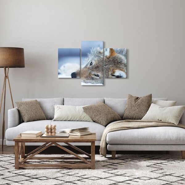 Obraz - Vlk (90x60 cm)